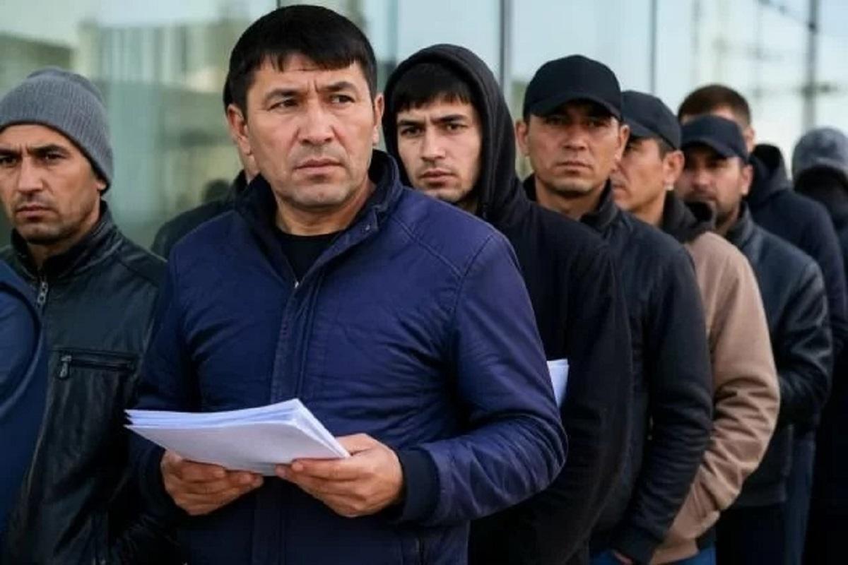 «Ложный отец» и еще 382 случая: МВД Новосибирской области зачистило регион от фиктивных мигрантов