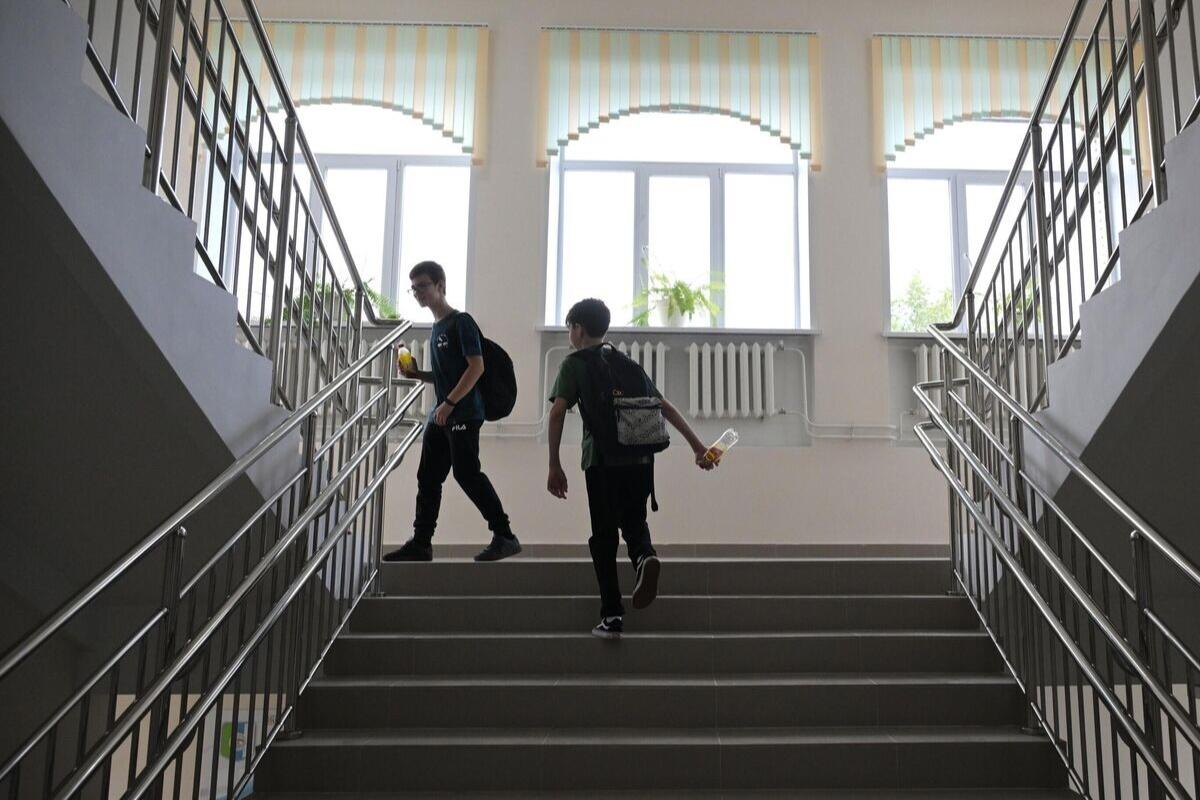 В ЛДПР предложили ввести штрафы за буллинг и кибербуллинг