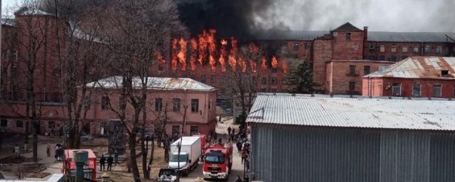 Погибшего и пострадавших при пожаре в Петербурге спасателей наградят