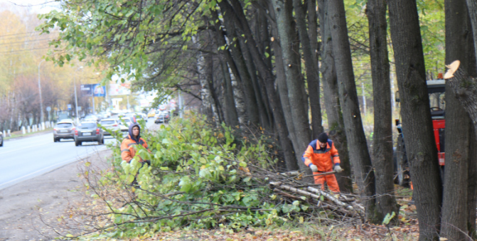В лесополосе на въезде в Ивантеевку провели уборку