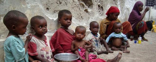ООН: В течение шести месяцев от голода могут умереть 20 млн человек
