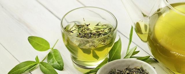 Гастроэнтеролог Свиридова: Зеленый чай вреден для людей с проблемами ЖКТ