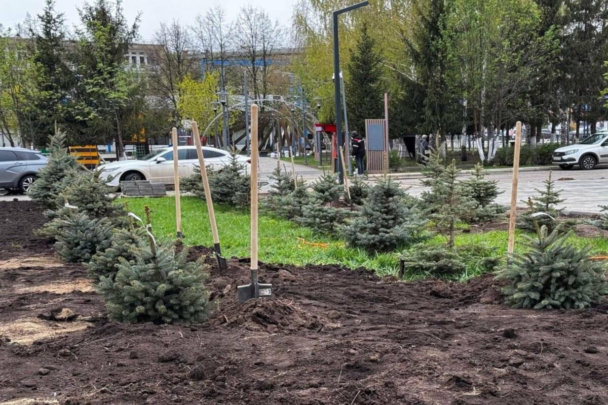 В Менделеевске организовали акцию «Ель герою», посвященную 80-й годовщине Победы