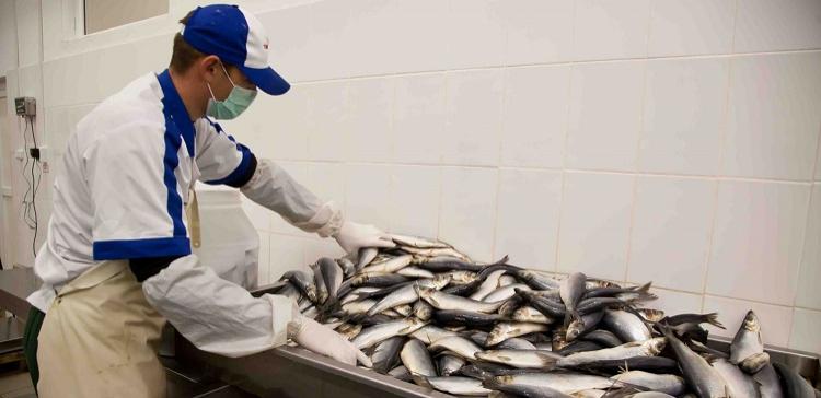 В Сахалинской области обсудили регулирование цен на рыбную продукцию