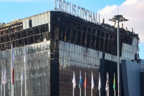 Обвиняемого в теракте в «Крокусе» пришлось снимать с дерева после погони