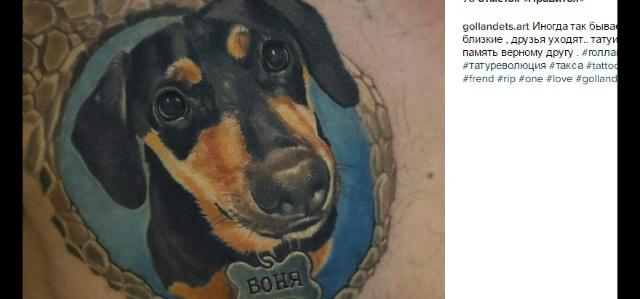 Новосибирец сделал себе на груди татуировку умершей собаки