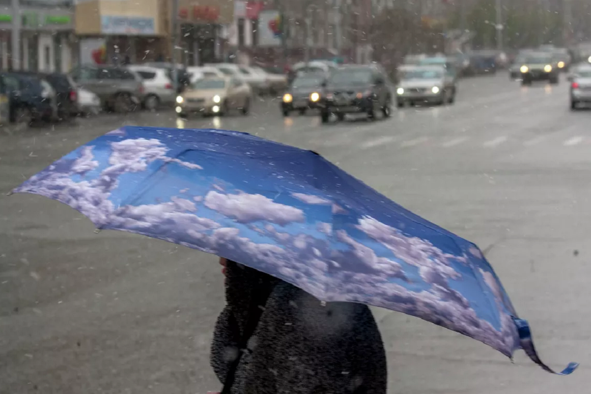 В Новосибирскую область придут заморозки