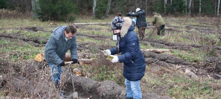 В Нижегородской области очистят леса и посадят деревья