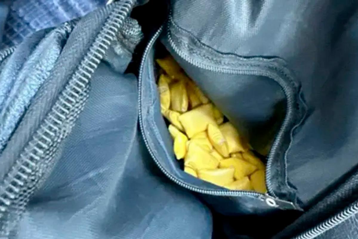 Иностранцу, распространявшему наркотики в Саранске, дали 12 лет колонии