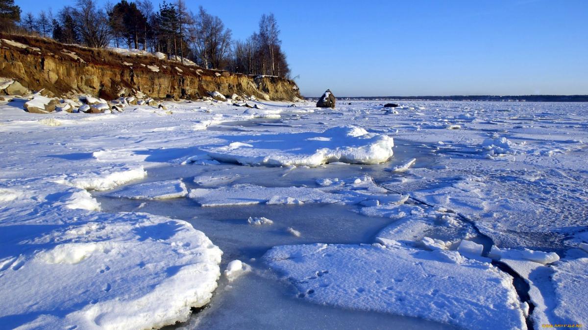 В ЯНАО «дочка» ЛУКОЙЛа незаконно использовала ресурсы Оби