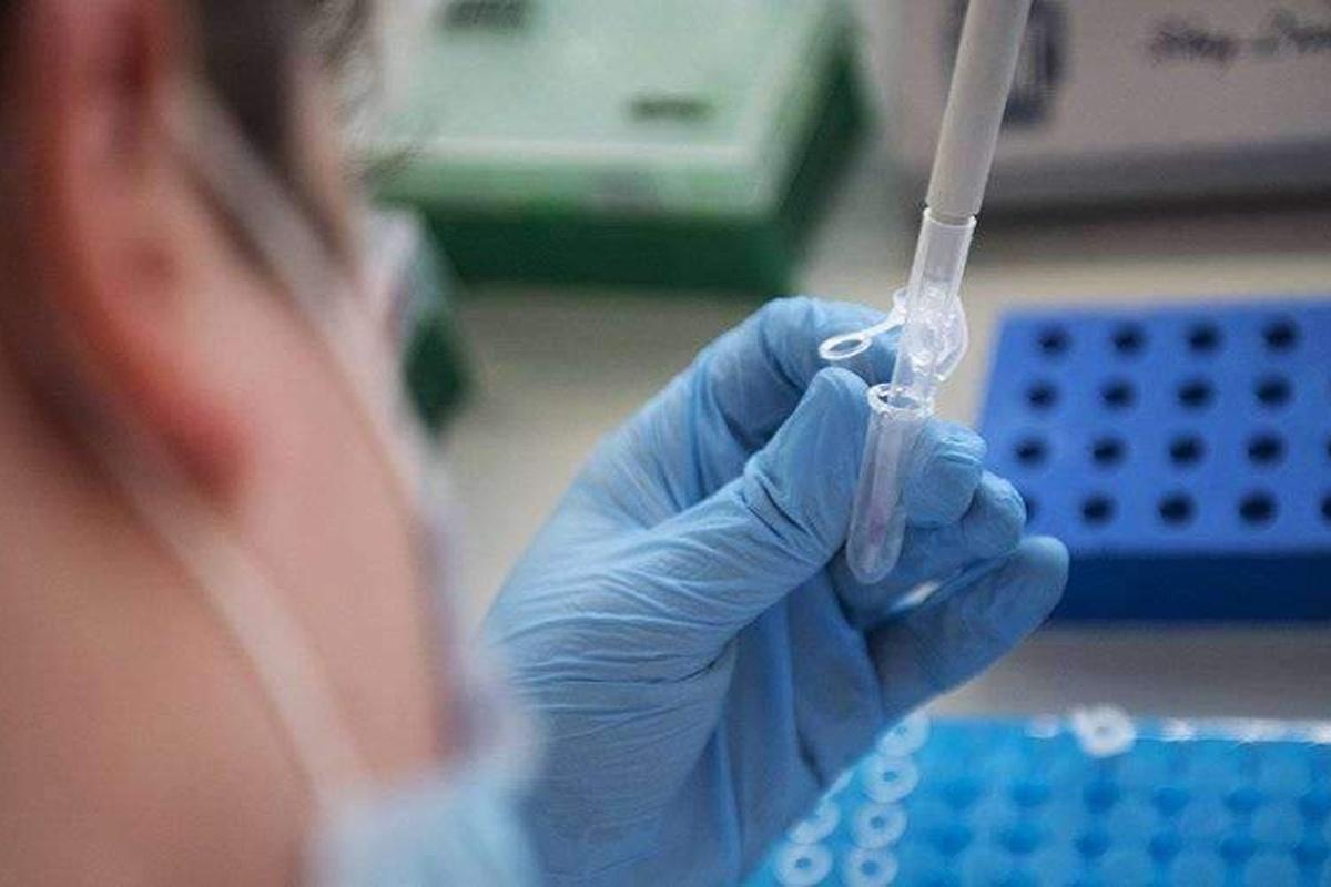 Власти Магаданской области рассказали о количестве заболевших COVID-19 за неделю