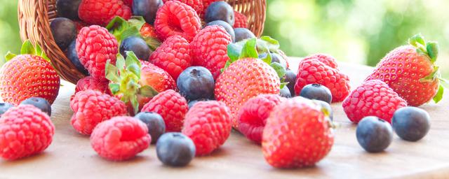 Врач Половодова предупредила о риске набора веса из-за употребления ягод