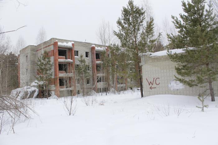 В Пензенской области продолжат восстанавливать детские оздоровительные лагеря