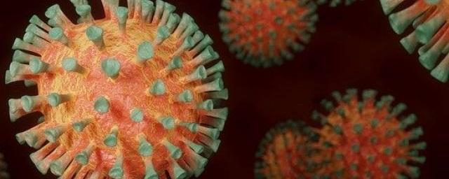 В Оренбургской области в январе 2021 от коронавируса скончались 273 человека