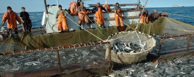 Рыбаки Колымы выловили лишь треть нормы лососёвых