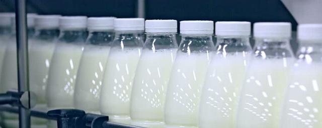 В России объем реализации молока сельхозпредприятиями вырос на 6%