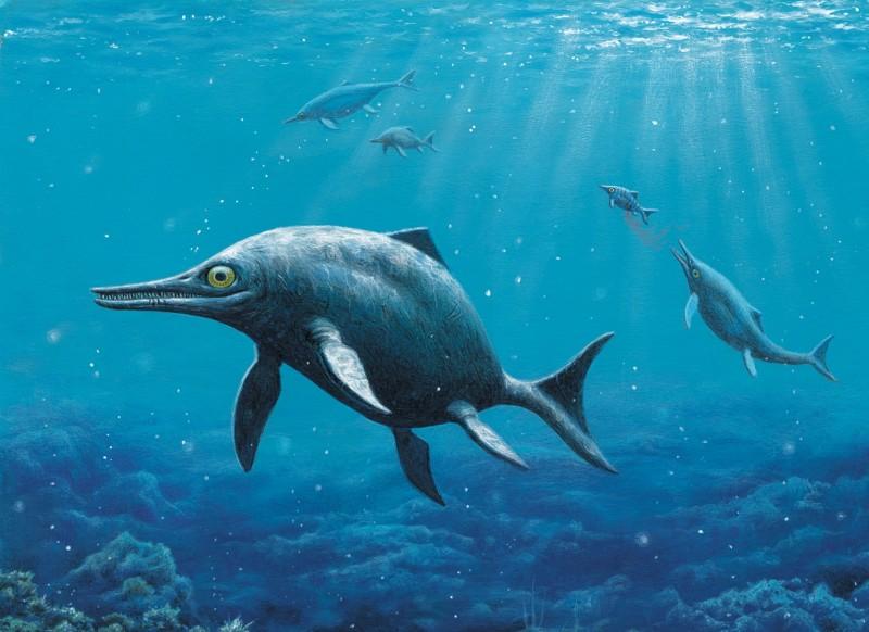 В швейцарских Альпах нашли останки морских динозавров