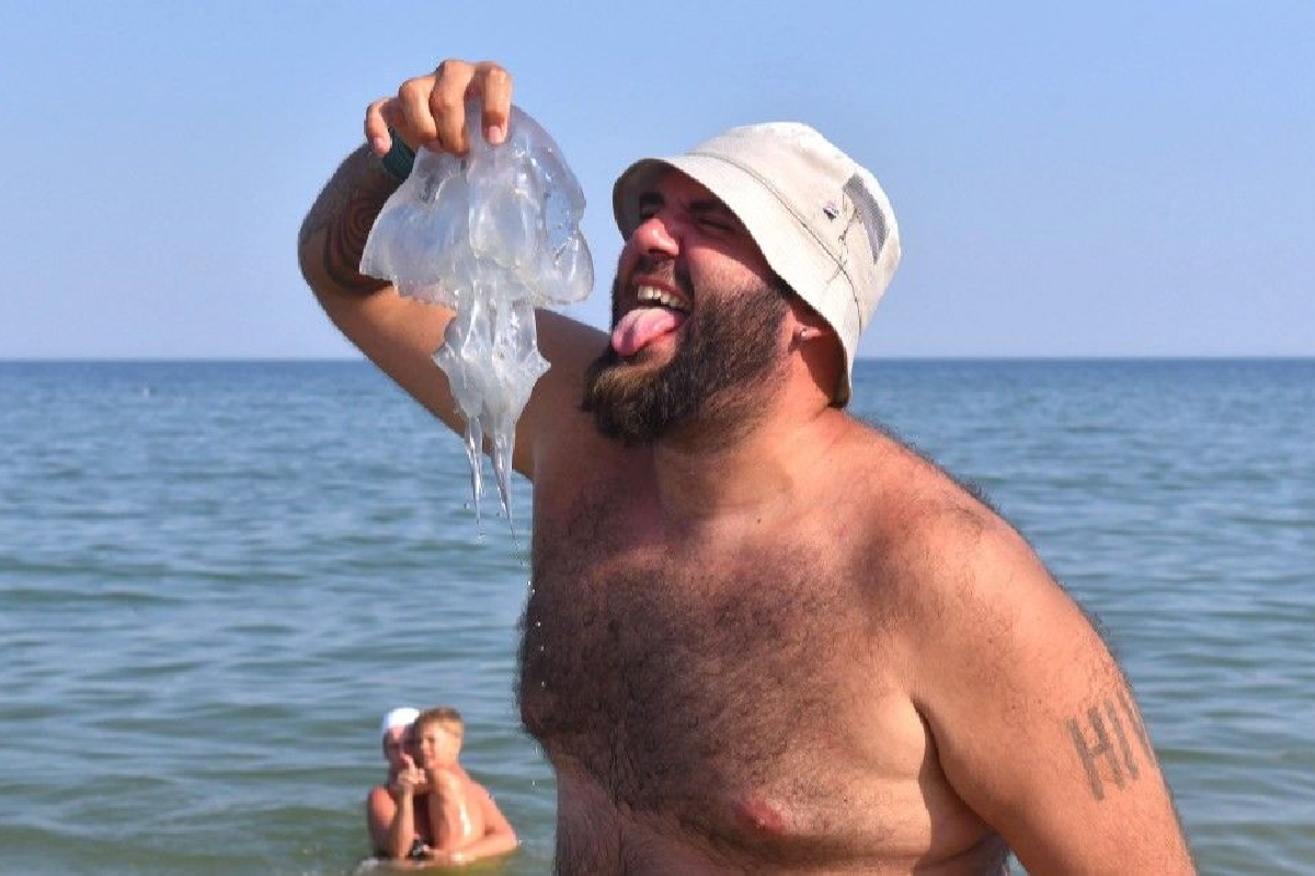 В Ростовской области ученые и врачи спорят, нужно ли есть медуз