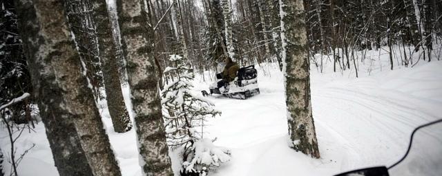 В Миассе из охотничьего ружья застелили местного предпринимателя в лесу