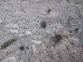 Черный снег стал поводом в российском городе возбудить уголовное дело