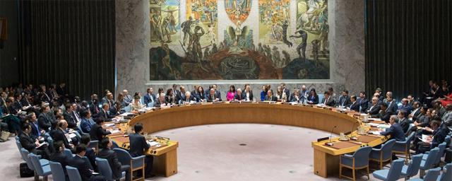 Пекин сожалеет, что Совбез ООН не принял резолюцию по «Северным потокам»