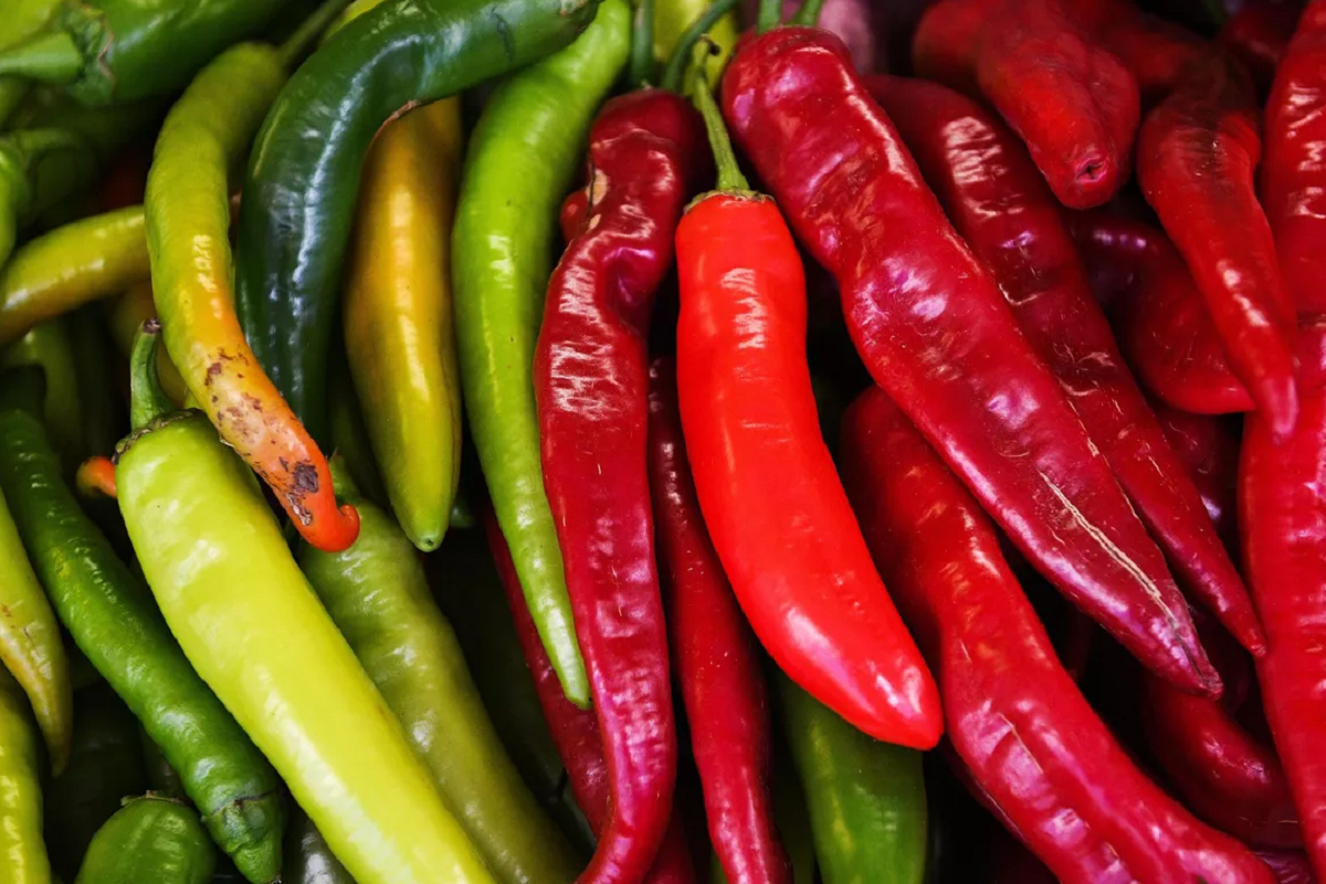 В Красноярском крае уничтожили 7 тонн зараженных вирусом перцев