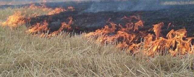 В Астраханской области объявлена чрезвычайная пожароопасность