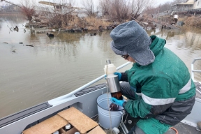 В Астрахани экологи рассчитают размер ущерба, нанесенного реке лежащим на дне судном