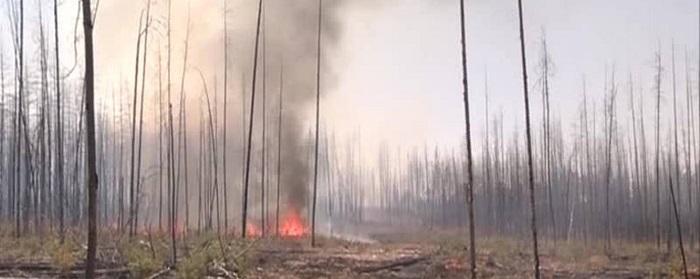 В Красноярском крае 11 августа площадь лесных пожаров уменьшилась до 19000 га