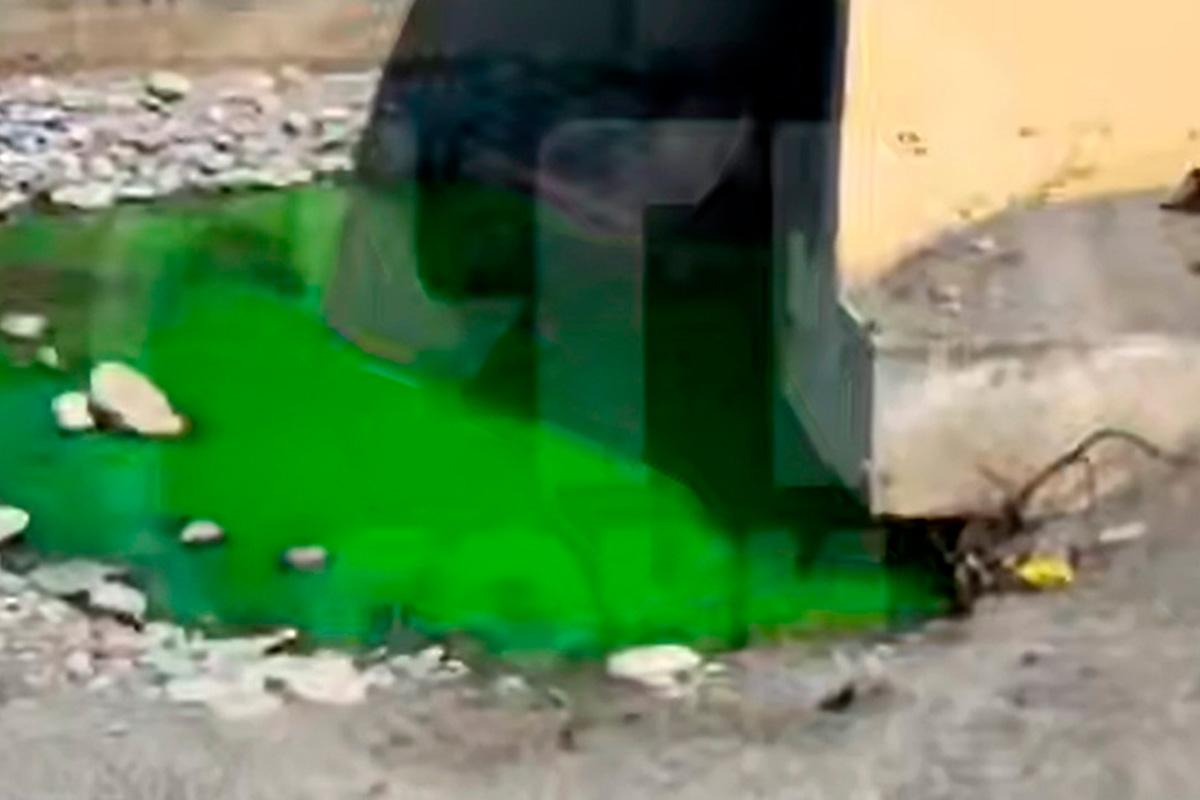 Зеленая жижа «из Марвел» в Сочи напугала туристов