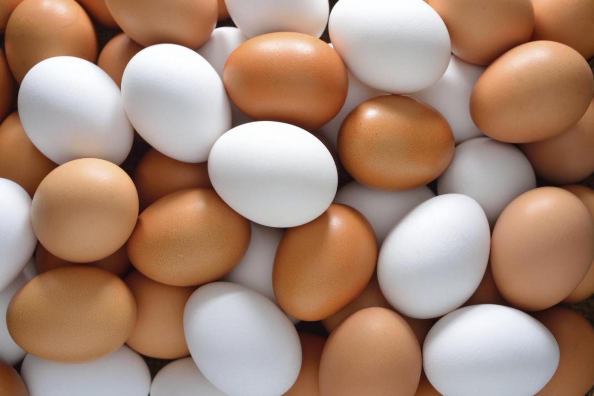 Эксперт Нагайцева заявила, что к Новому году подорожают куриные яйца