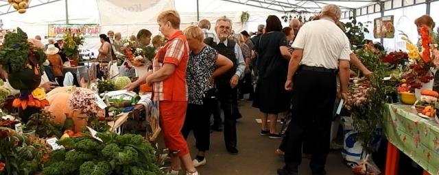 В Ярославле состоялась аграрная ярмарка