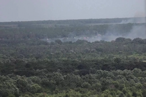 На Кубани полностью потушили два лесных пожара