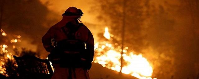 Турецкие власти заявили о возможной диверсии в связи с лесными пожарами в Мармарисе