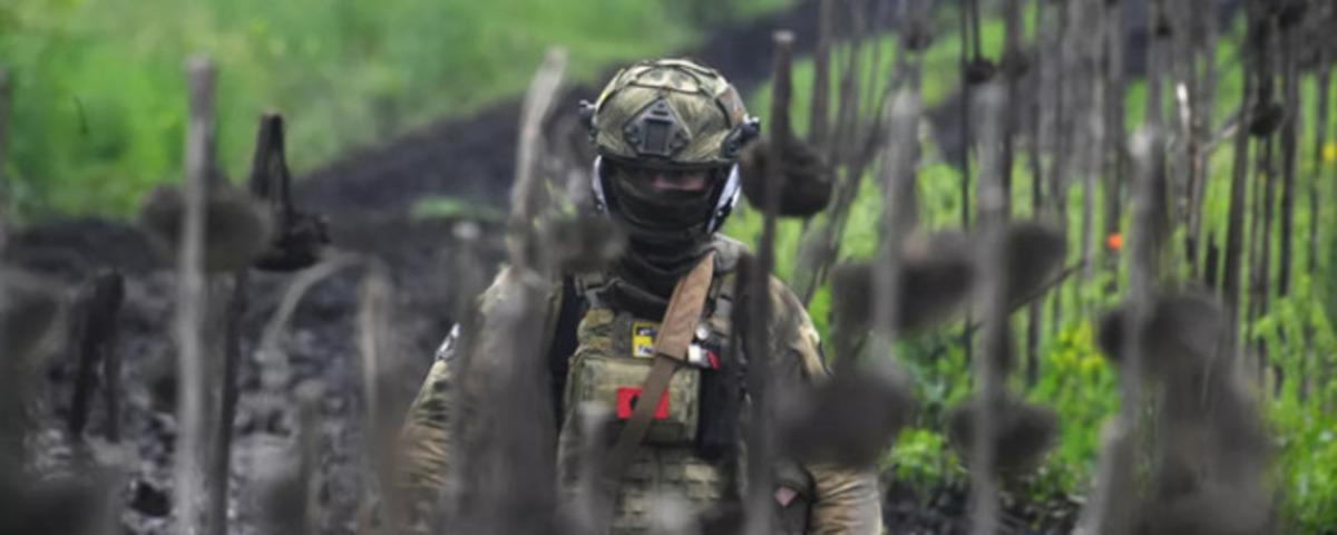 На Донецком направлении российские войска уничтожили более 310 военных ВСУ