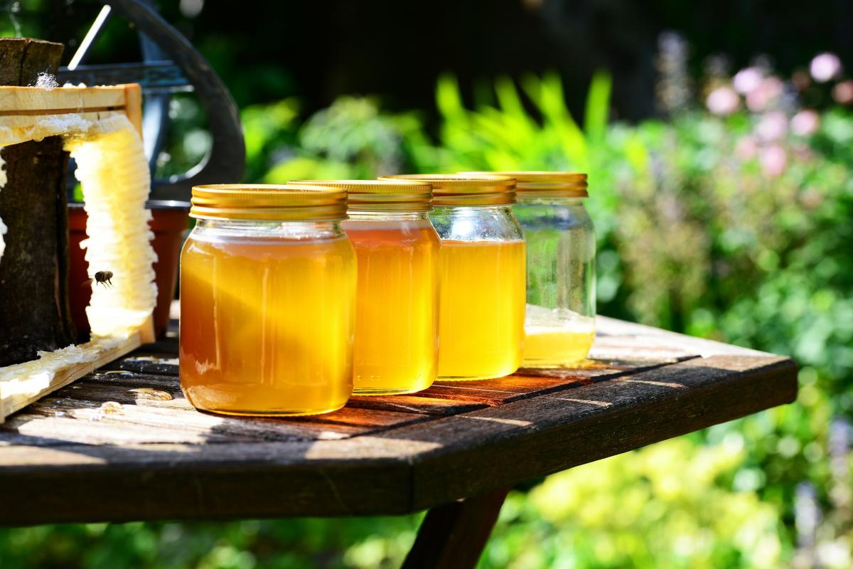 Иммунолог Ирина Эстрина объяснила, почему мёд вреден для людей с диабетом и ожирением