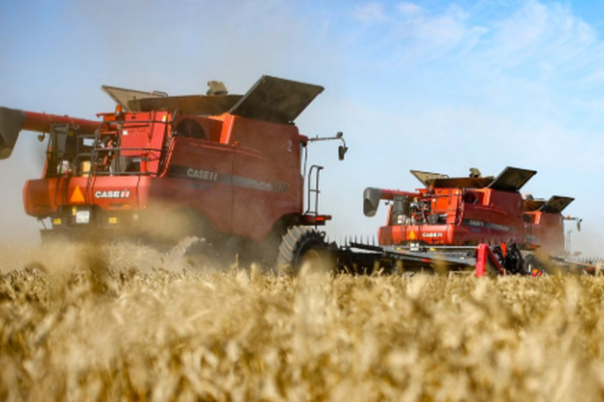 Валовый сбор зерна в Мордовии приближается к отметке 2 млн тонн