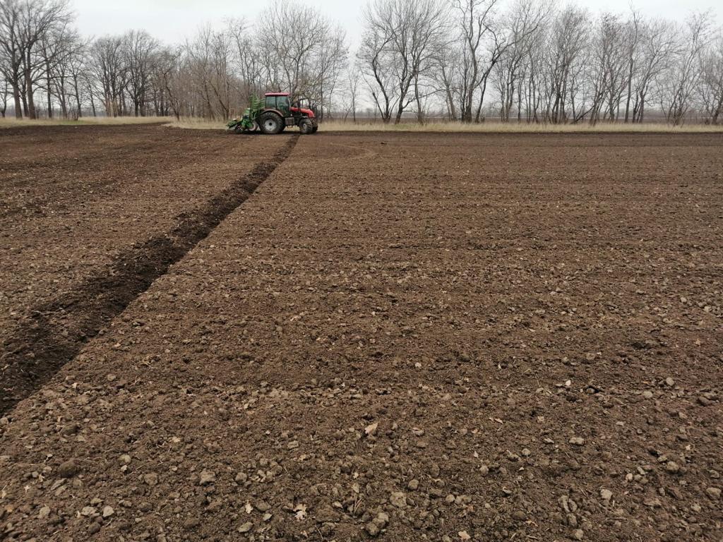 На Ставрополье засеяли сахарную свёклу на площади 33,4 тысячи гектаров