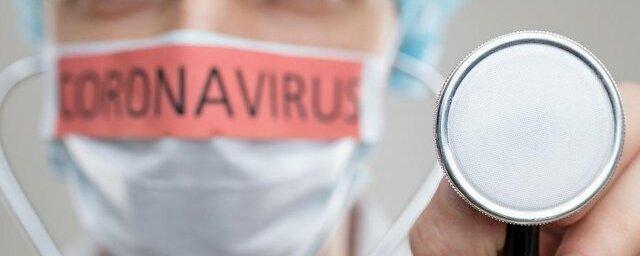 Выход на плато: Россия достигла пика пандемии коронавируса?