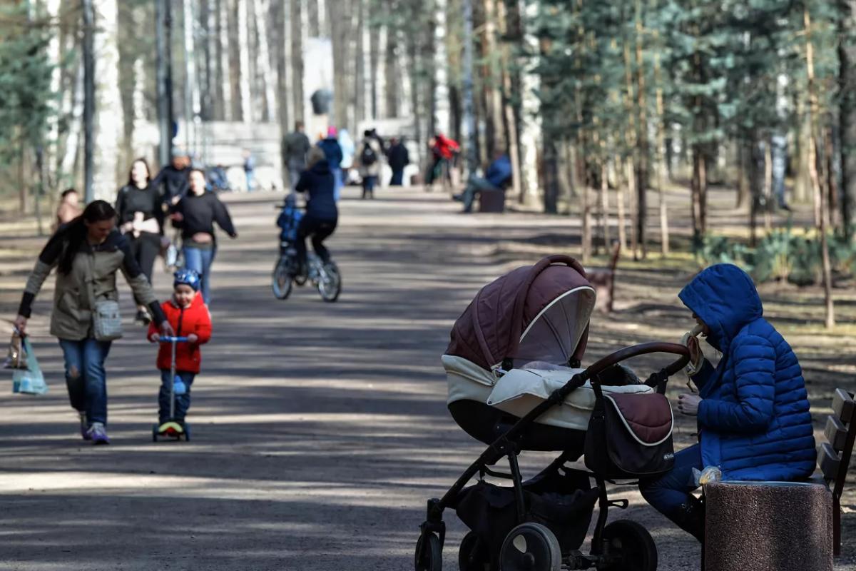 Кабмин выделит более 30 млн рублей на выплаты матерям-героиням