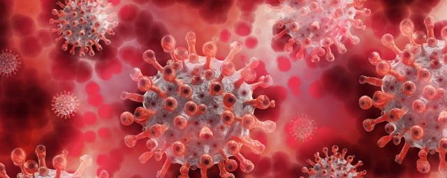 В Ростовской области выявили 193 новых случая коронавируса
