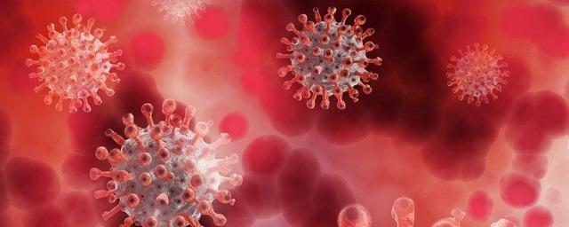 Еще 300 человек заболели коронавирусом в Вологодской области