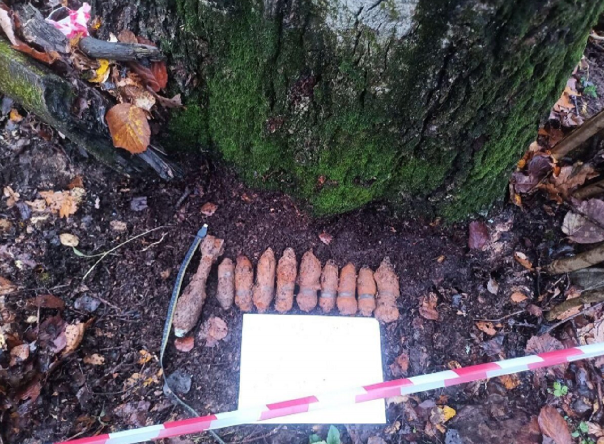 В Рузском округе уничтожили 10 военных боеприпасов времён ВОВ