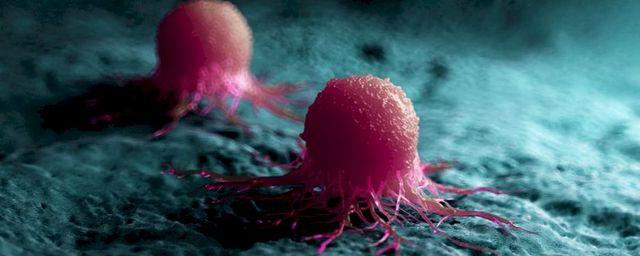Раковые клетки могут «впадать в спячку» под воздействием химиотерапии
