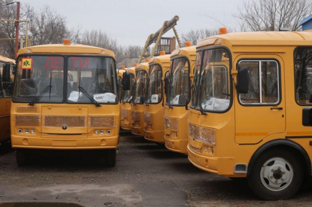В Костроме выбирают новые автобусы большой вместимости