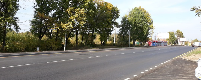 В Туле рядом с Одоевским шоссе обнаружили скелет человека