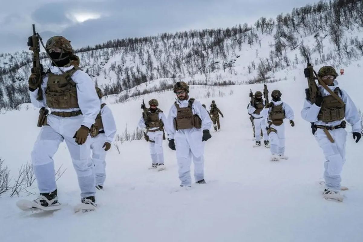 Скандинавские страны объединяют военные усилия из-за России