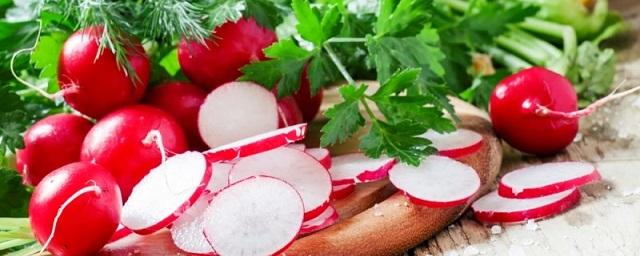 Диетолог Соломатина рассказала, чем полезен редис, особенно для пожилых людей