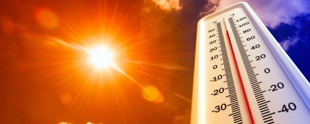 Климатолог сообщил о риске наступления аномальной жары в России
