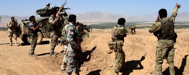 Армения попросила ОДКБ лишить Афганистан статуса наблюдателя